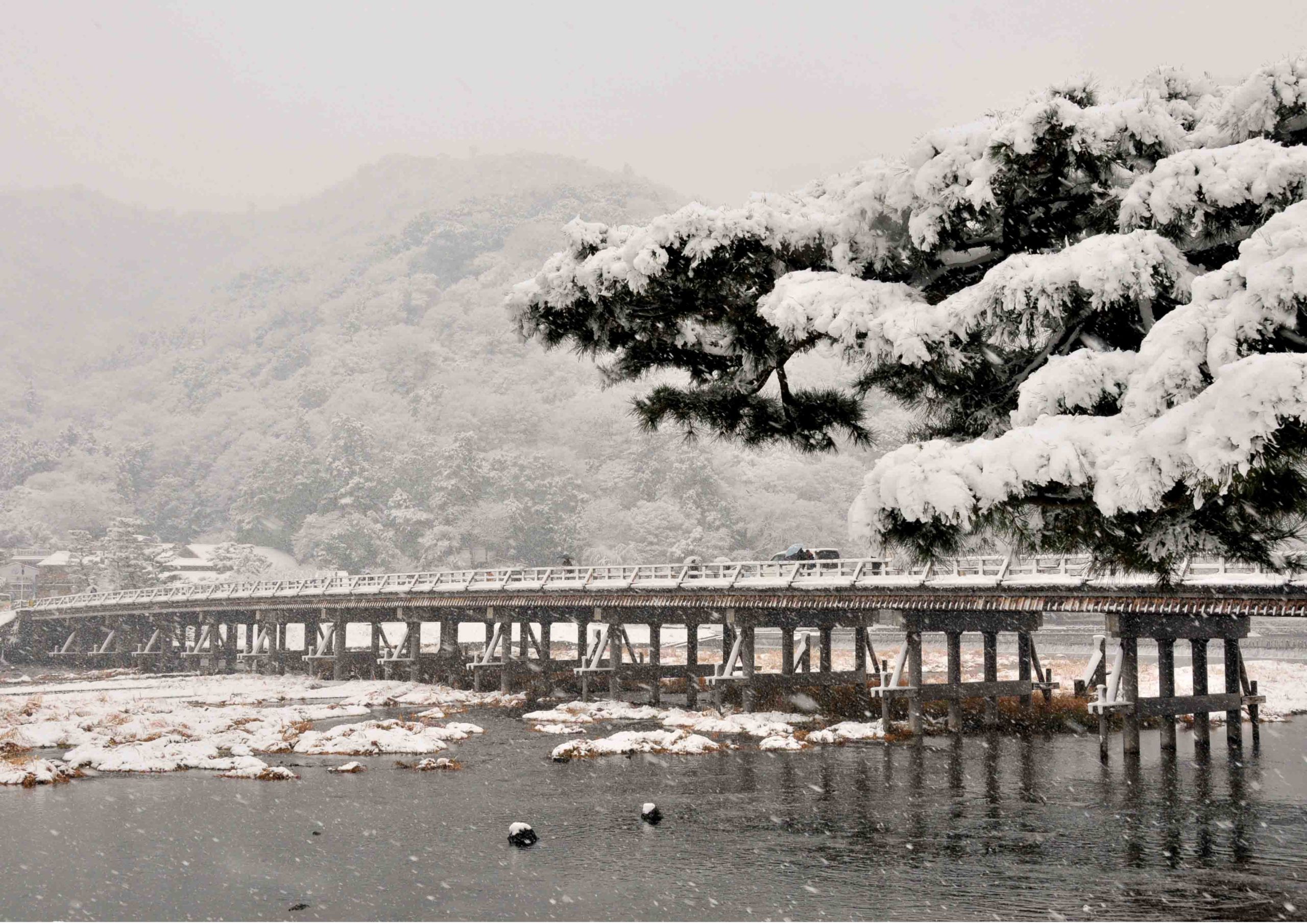 から紅に染まる 渡月橋 の歴史や魅力 たてものフロンティア