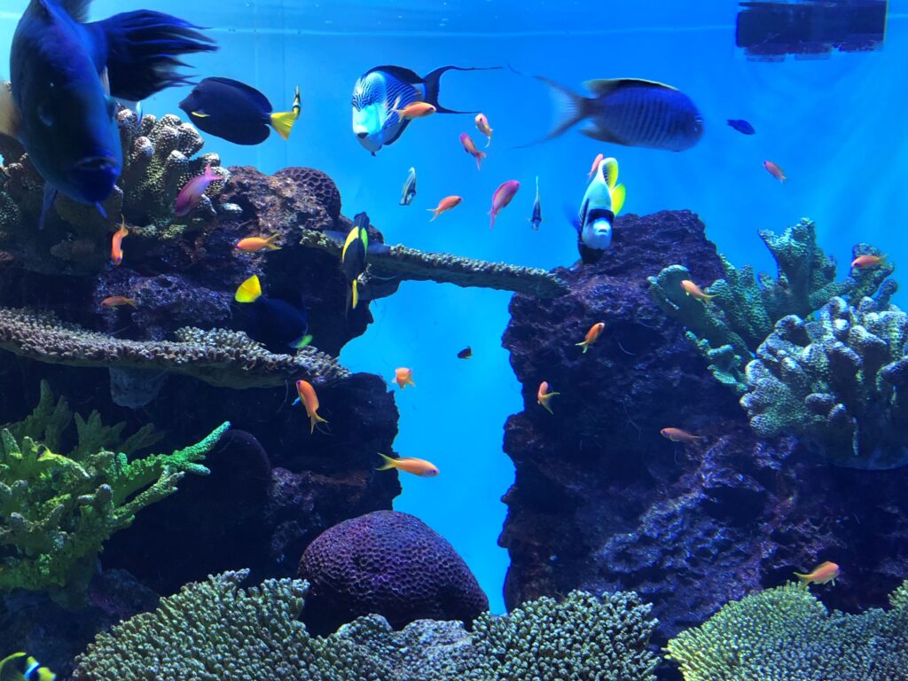 葛西臨海水族園