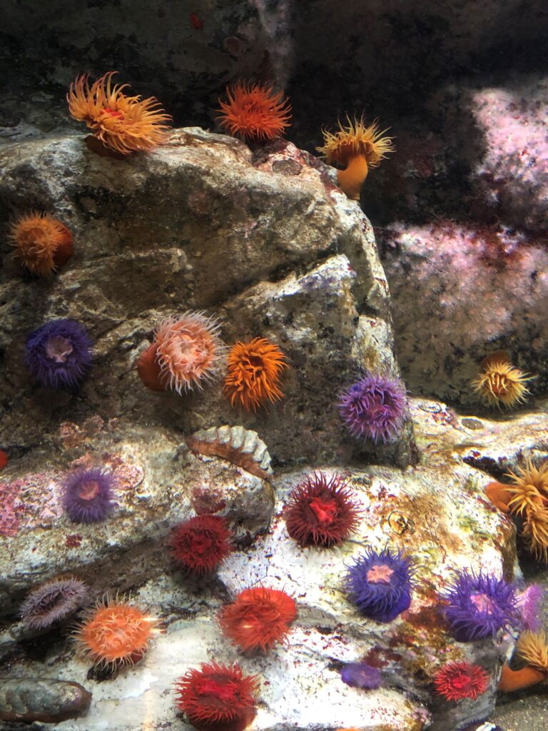 葛西臨海水族園