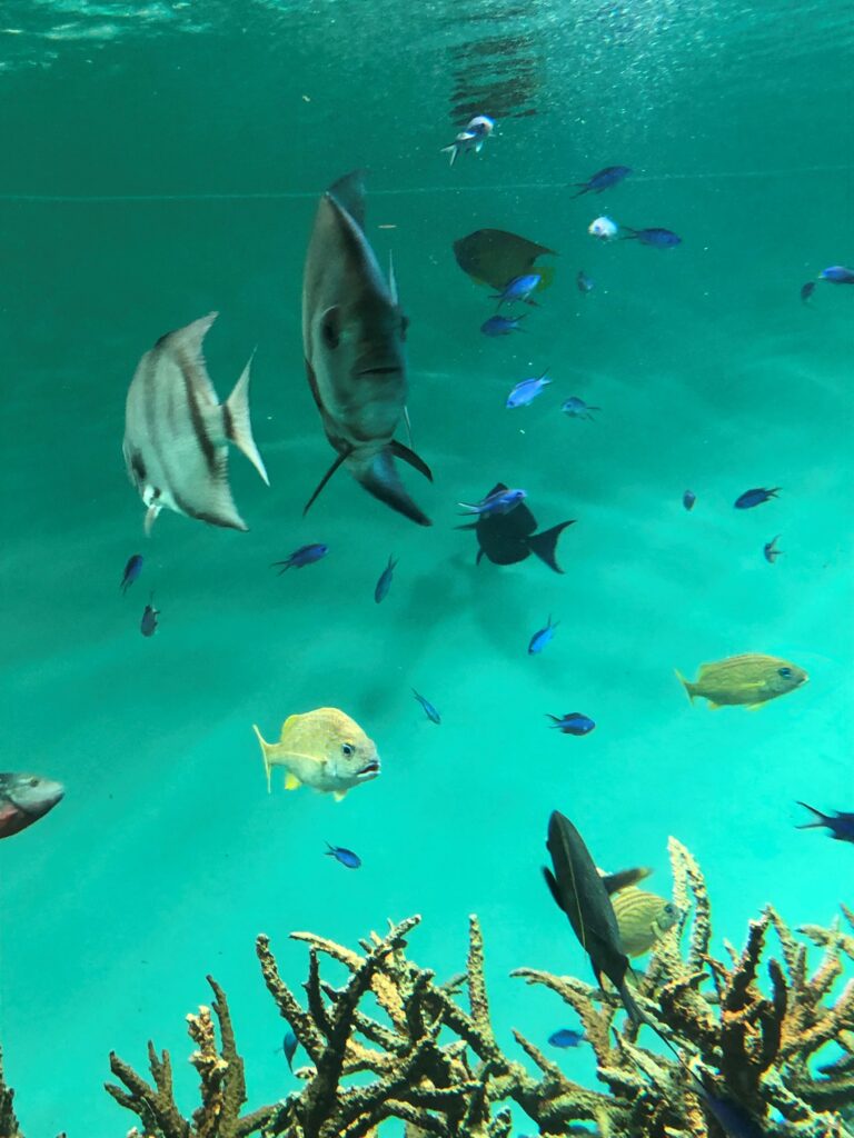 葛西臨海水族園