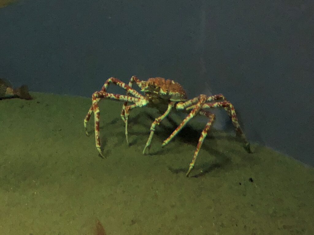葛西臨海水族園