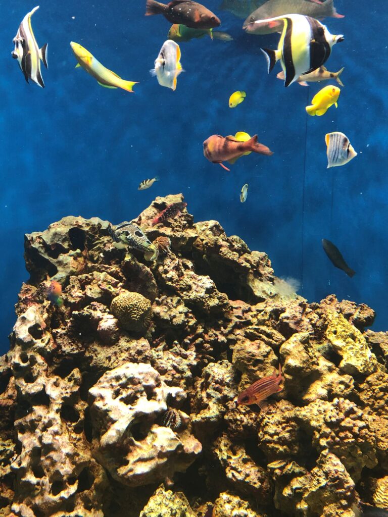 葛西臨海水族園