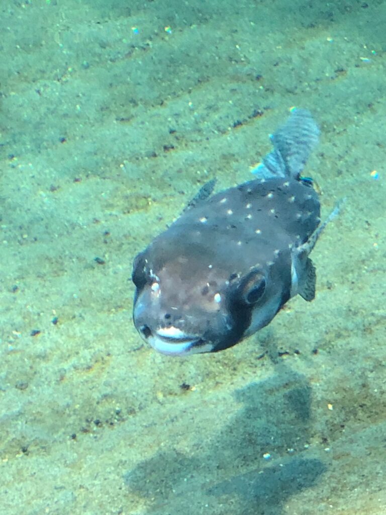 葛西臨海水族園