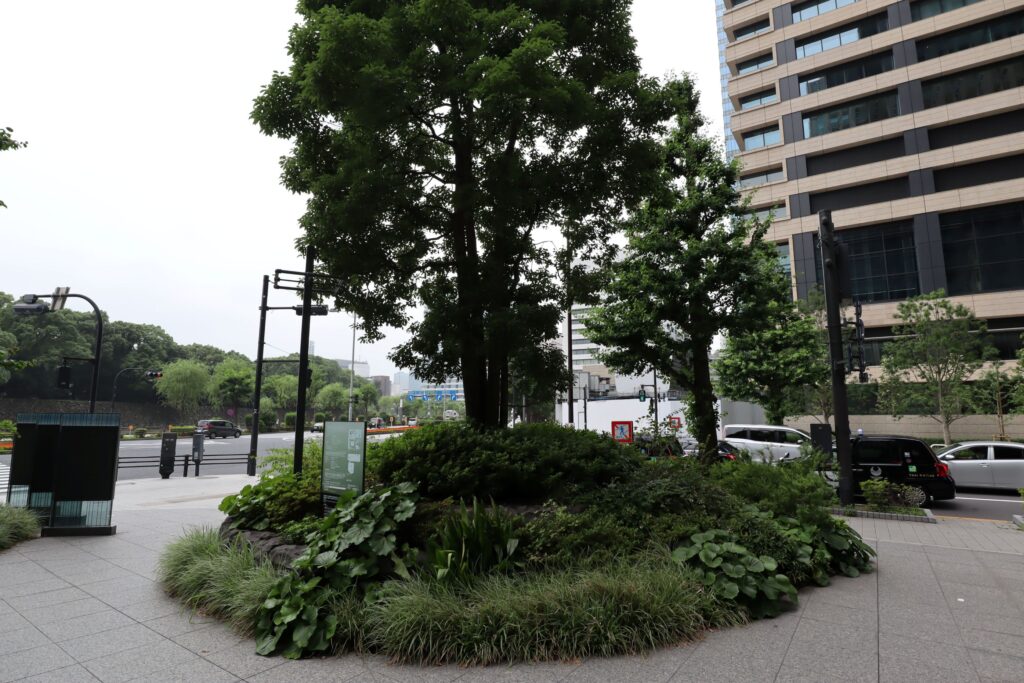大手町パークビルディング