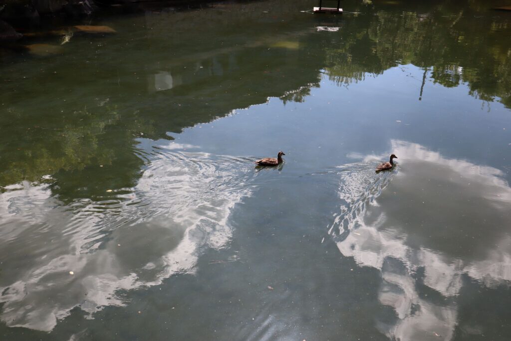 豊島区立目白庭園