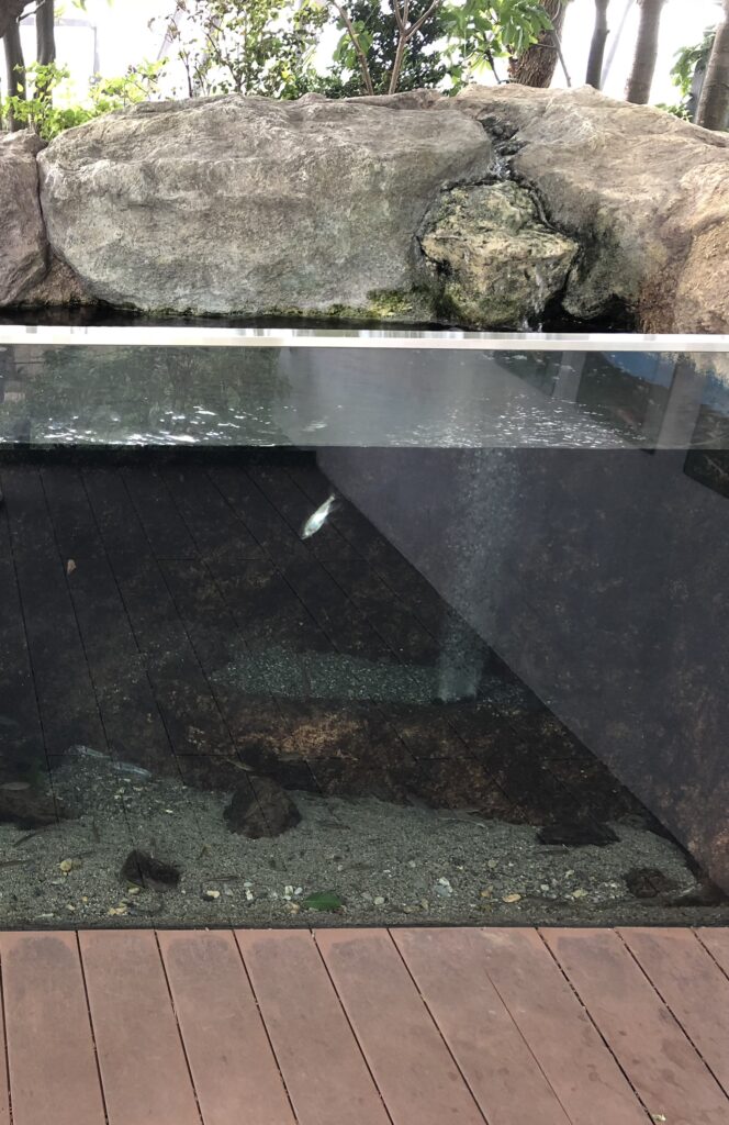 としまエコミューゼタウン