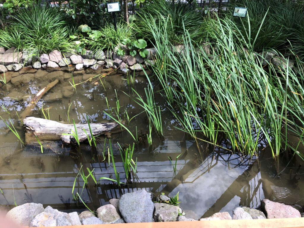 としまエコミューゼタウン